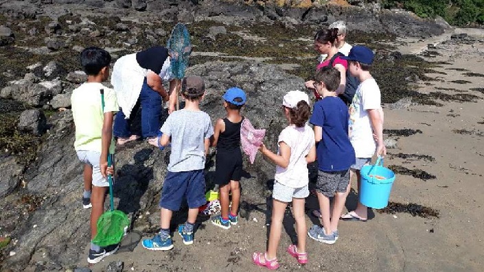 Annaon Tourisme Scolaire sorties et animations peche à pieds Annaon Tourisme Scolaire sorties et animations