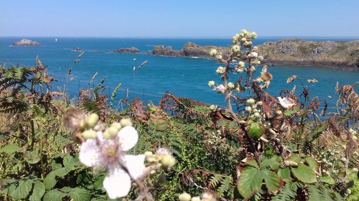 Cancale Pointe du Grouin visite individuels Annaon Tourisme