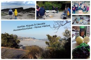 Sorties Algues Ferme Marine Cancale – Avril 2019