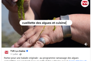 Mes Cuisin’Algues à la Ferme Marine de Cancale aux « Estivales » – TVR 35 – Juillet 2023