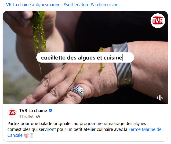 Cueillette des algues et cuisine - TVR La Chaîne